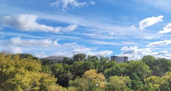 The Hollows Metro State, St. Paul, Minnesota